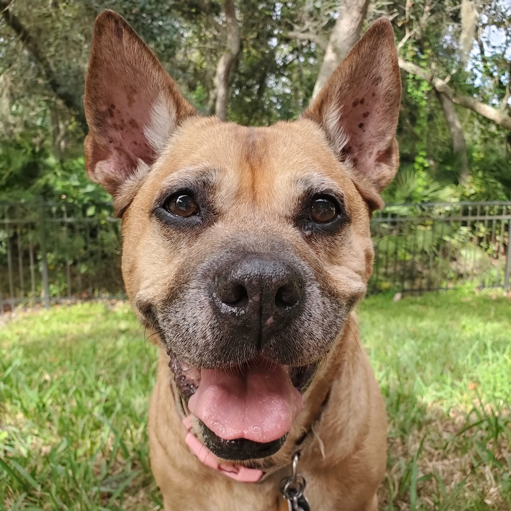 Meet your Posher, Colette